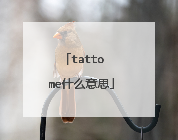 tatto me什么意思