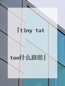 tiny tattoo什么意思