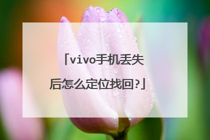 vivo手机丢失后怎么定位找回?