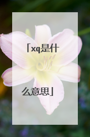 xq是什么意思