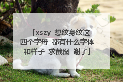 xszy 想纹身纹这四个字母 都有什么字体和样子 求截图 谢了
