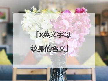 x英文字母纹身的含义