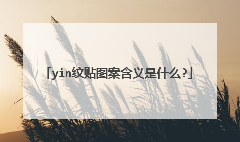 yin纹贴图案含义是什么?