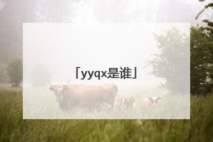 yyqx是谁